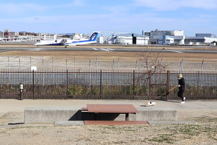 飛行機と競争