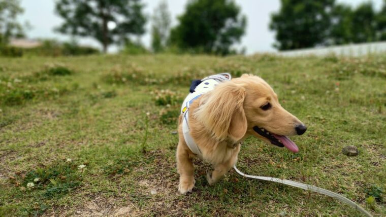 お店の前の公園