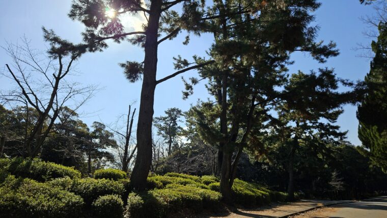 緑地公園の雰囲気