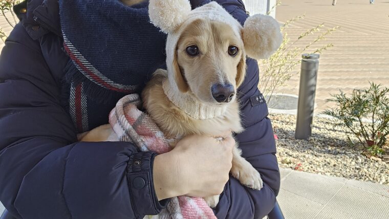 テラス席でくつろぐミルク