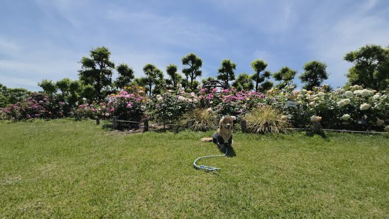 花の前で記念撮影